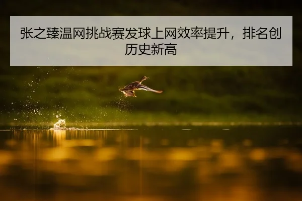 张之臻温网挑战赛发球上网效率提升，排名创历史新高
