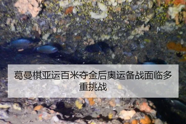 葛曼棋亚运百米夺金后奥运备战面临多重挑战